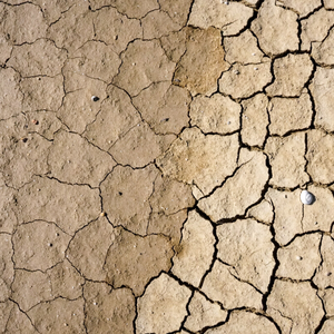 Folgen von Wasserknappheit für Böden und Landmanagement