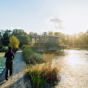 Folgen von Wasserknappheit für Flora und Fauna