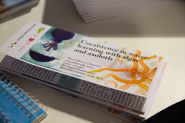 Koexistenzen im Wasser: Lernen mit Algen und Axolotln 4