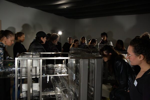 Koexistenzen im Wasser: Lernen mit Algen und Axolotln 6