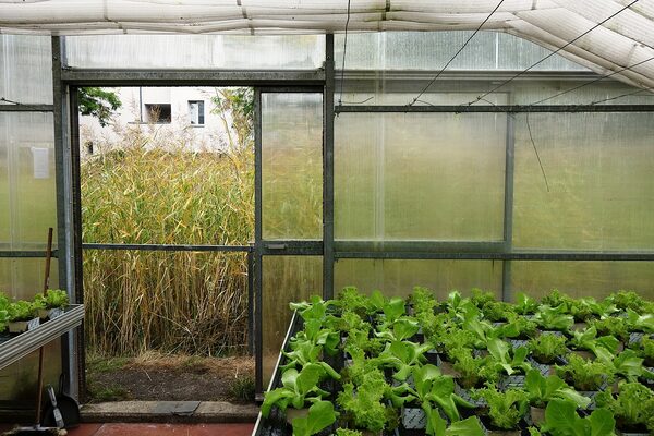 On Water zu Gast in der Roof Water-Farm 4